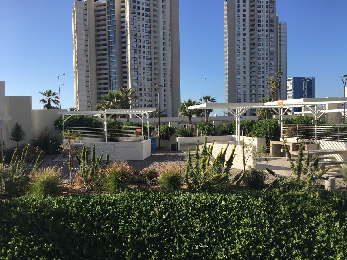 科金博Departamento Marina Horizonte II公寓 外观 照片